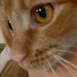 Meet your Posher, Marley